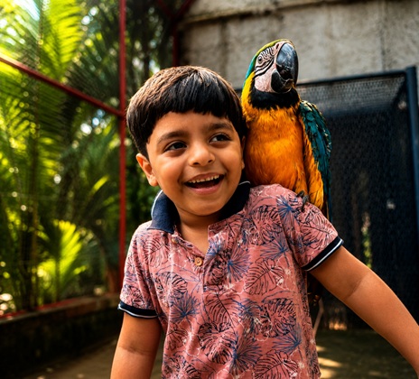 Bird Aviary