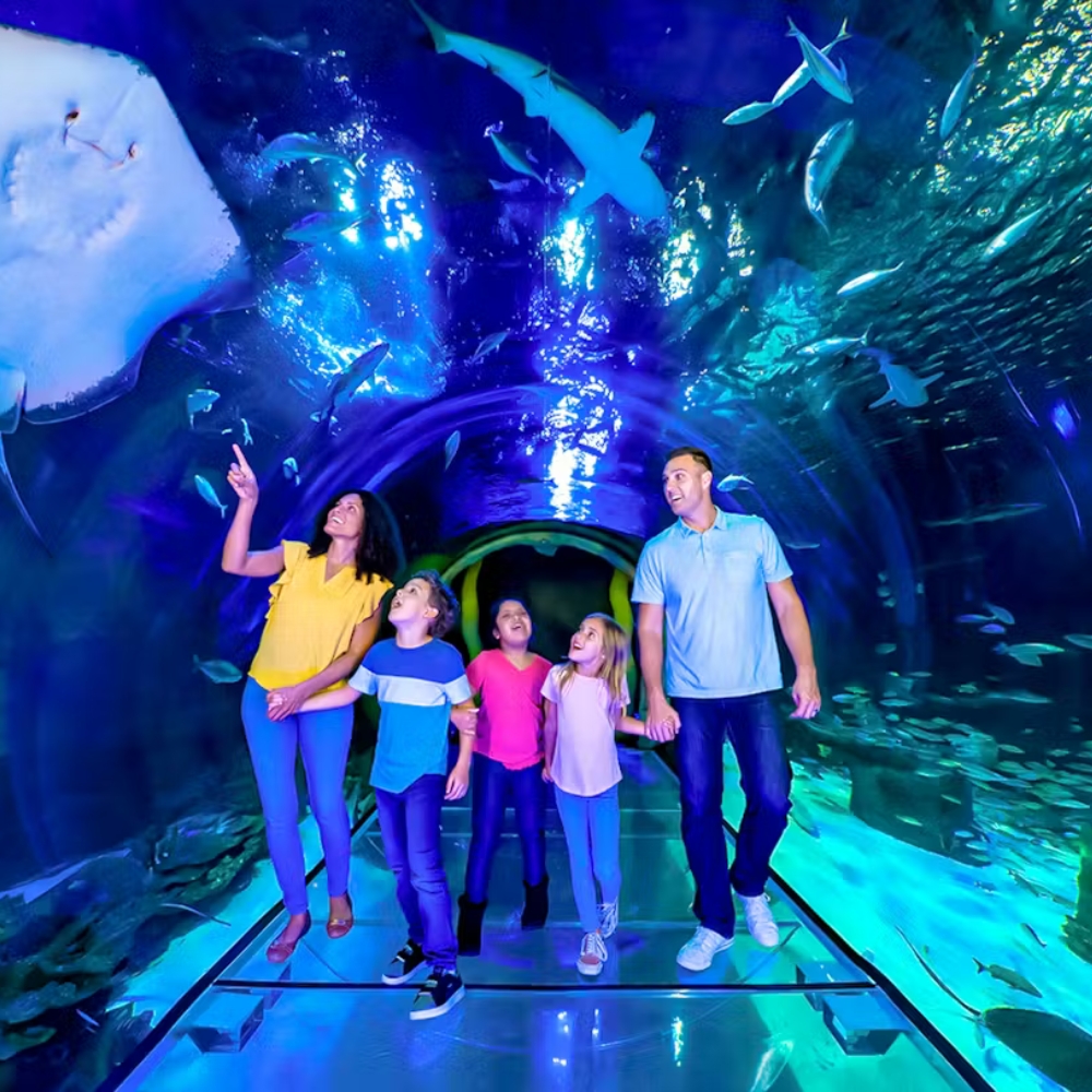 aquarium park dhaka (3)