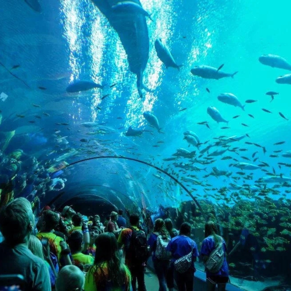 aquarium park dhaka under water