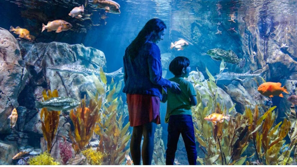 dhaka aquarium park (1)